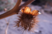 namibia 068